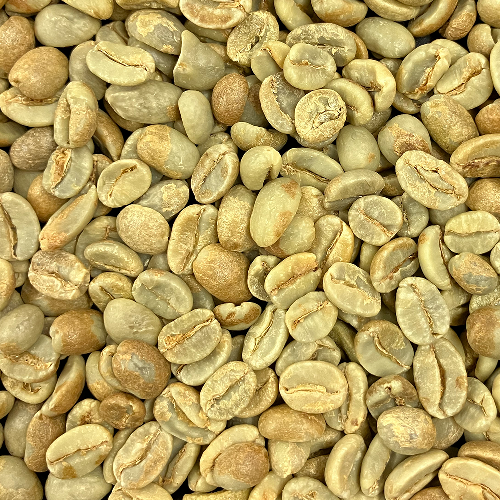 BrewBag - ウガンダ ルウェンゾリ ドンキー アフリカンムーン ナチュラル A