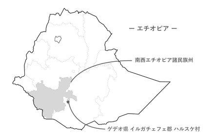エチオピア イルガチェフェ ハルスケ ナチュラル G1 中浅煎り150g