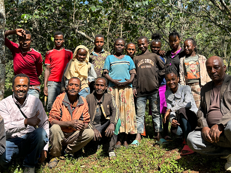 エチオピア イルガチェフェ ハルスケ ナチュラル G1 中浅煎り150g