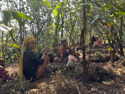 エチオピア イルガチェフェ ハルスケ ナチュラル G1 中浅煎り150g